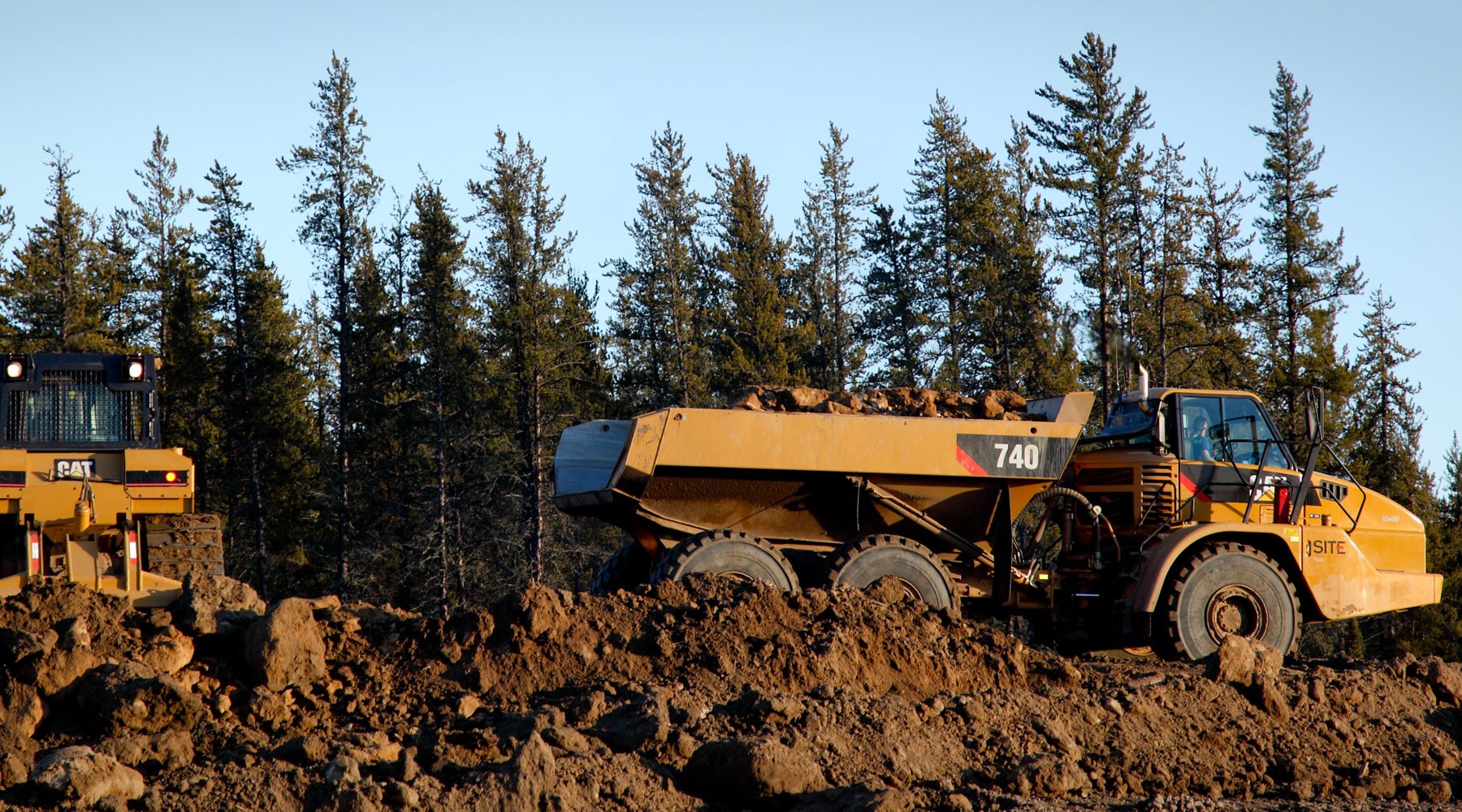 Forest clearing Forest clearing