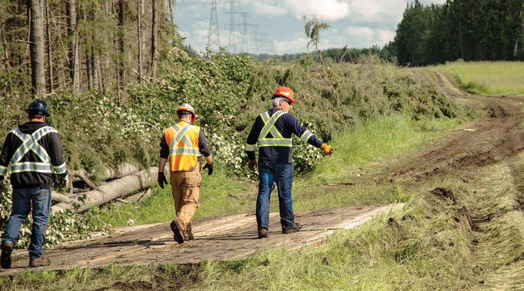 Three workers wearing PPE walking through a cleared section of landscape Three workers wearing PPE walking through a cleared section of landscape